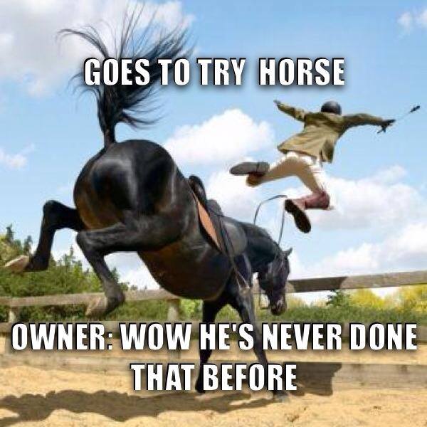 1546061_600560130014135_1615355308_n