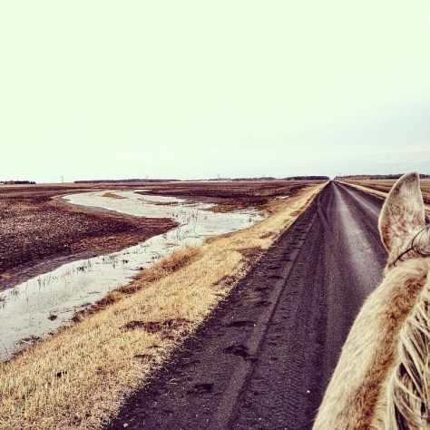 10152552_10152409970198086_670626412475403535_n