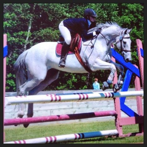 10273557_10152543690478086_3429988677410338119_n